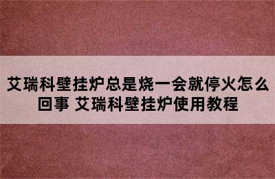 艾瑞科壁挂炉总是烧一会就停火怎么回事 艾瑞科壁挂炉使用教程